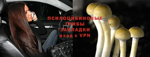 PSILOCYBIN Волосово