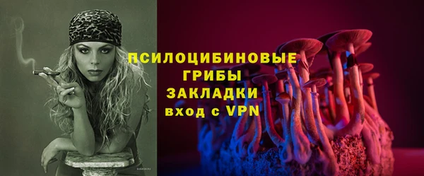 PSILOCYBIN Волосово