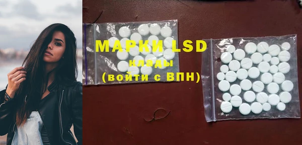 PSILOCYBIN Волосово